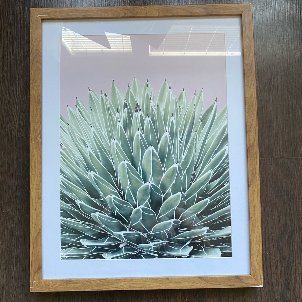 Succulent print from target